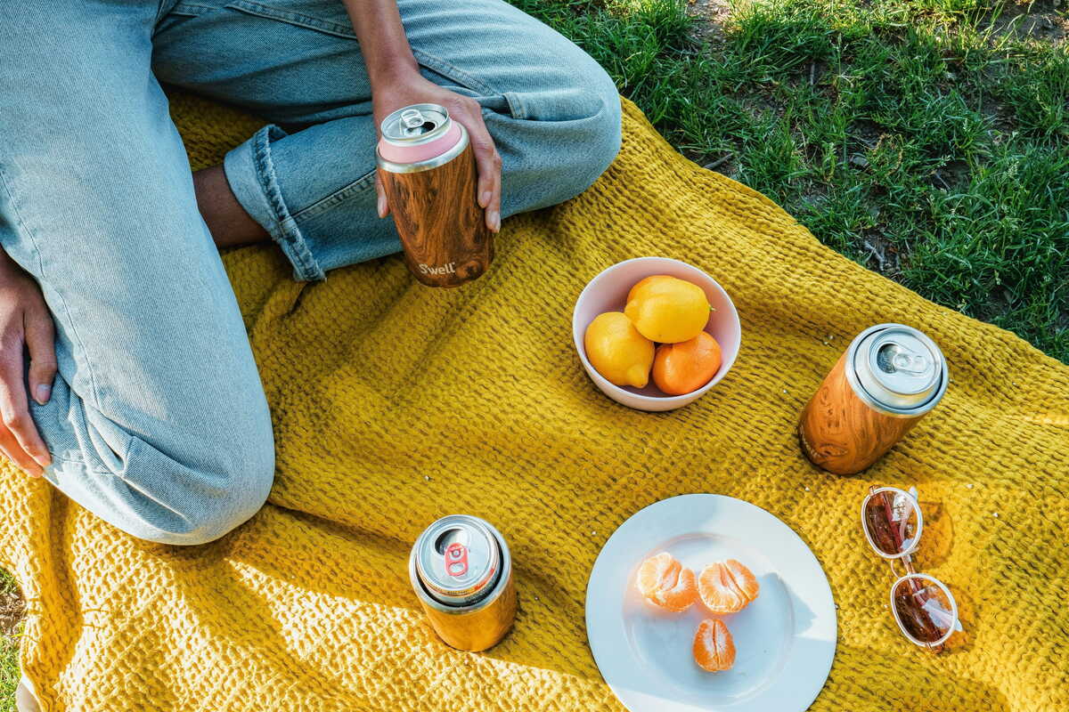 Picnic in Park